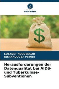 bokomslag Herausforderungen der Datenqualität bei AIDS- und Tuberkulose-Subventionen