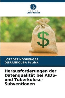 bokomslag Herausforderungen der Datenqualitt bei AIDS- und Tuberkulose-Subventionen