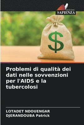 bokomslag Problemi di qualit dei dati nelle sovvenzioni per l'AIDS e la tubercolosi