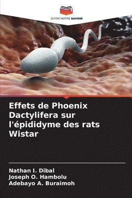 bokomslag Effets de Phoenix Dactylifera sur l'épididyme des rats Wistar