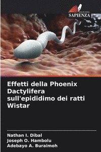 bokomslag Effetti della Phoenix Dactylifera sull'epididimo dei ratti Wistar