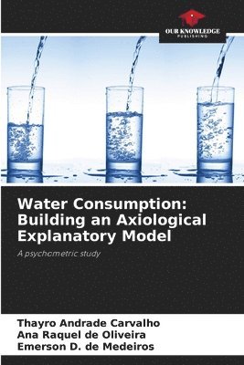 bokomslag Water Consumption: Building an Axiological Explanatory Model