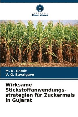 Wirksame Stickstoffanwendungs-strategien fr Zuckermais in Gujarat 1