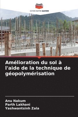 Amlioration du sol  l'aide de la technique de gopolymrisation 1