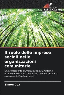 bokomslag Il ruolo delle imprese sociali nelle organizzazioni comunitarie