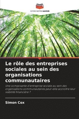 bokomslag rôle des entreprises sociales au sein des organisations communautaires