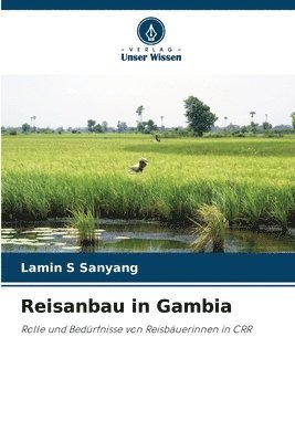 Reisanbau in Gambia 1