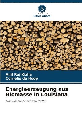 bokomslag Energieerzeugung aus Biomasse in Louisiana