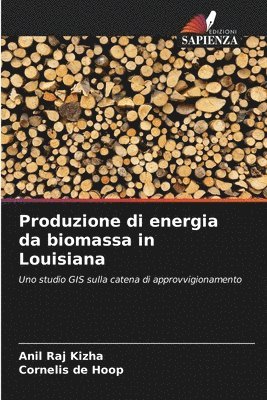 Produzione di energia da biomassa in Louisiana 1