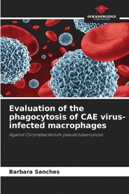 bokomslag Evaluation of the phagocytosis of CAE virus-infected macrophages