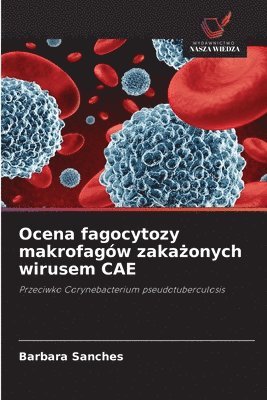 Ocena fagocytozy makrofagw zaka&#380;onych wirusem CAE 1