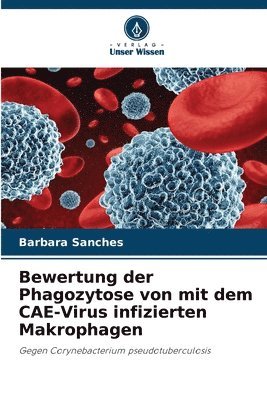 bokomslag Bewertung der Phagozytose von mit dem CAE-Virus infizierten Makrophagen