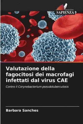 bokomslag Valutazione della fagocitosi dei macrofagi infettati dal virus CAE