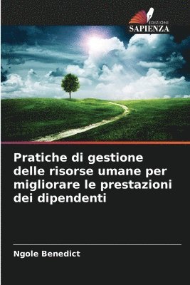 bokomslag Pratiche di gestione delle risorse umane per migliorare le prestazioni dei dipendenti