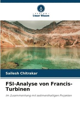 bokomslag FSI-Analyse von Francis-Turbinen