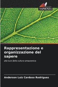 bokomslag Rappresentazione e organizzazione del sapere