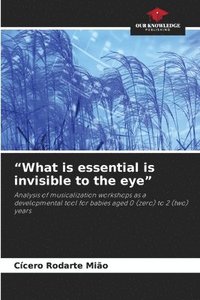 bokomslag 'What is essential is invisible to the eye'