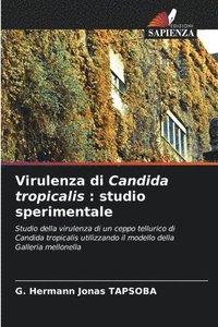 bokomslag Virulenza di Candida tropicalis: studio sperimentale