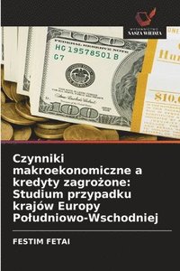 bokomslag Czynniki makroekonomiczne a kredyty zagro&#380;one