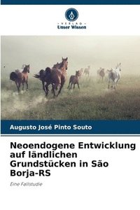 bokomslag Neoendogene Entwicklung auf ländlichen Grundstücken in São Borja-RS