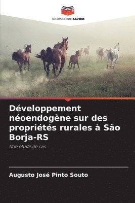 Dveloppement noendogne sur des proprits rurales  So Borja-RS 1