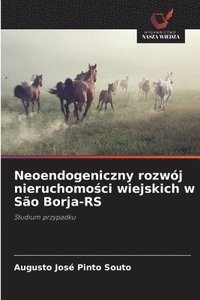 bokomslag Neoendogeniczny rozwj nieruchomo&#347;ci wiejskich w So Borja-RS