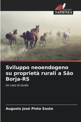 bokomslag Sviluppo neoendogeno su propriet rurali a So Borja-RS