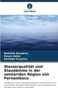 bokomslag Wasserqualität und Staudämme in der semiariden Region von Pernambuco