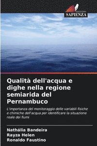 bokomslag Qualit dell'acqua e dighe nella regione semiarida del Pernambuco