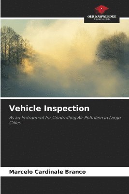 Vehicle Inspection 1