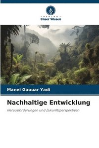 bokomslag Nachhaltige Entwicklung