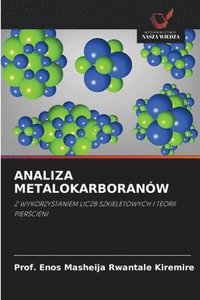 bokomslag Analiza Metalokarboranw