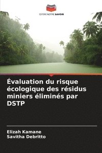 bokomslag Évaluation du risque écologique des résidus miniers éliminés par DSTP