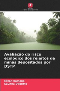 bokomslag Avaliao do risco ecolgico dos rejeitos de minas depositados por DSTP