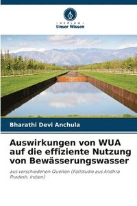 bokomslag Auswirkungen von WUA auf die effiziente Nutzung von Bewässerungswasser