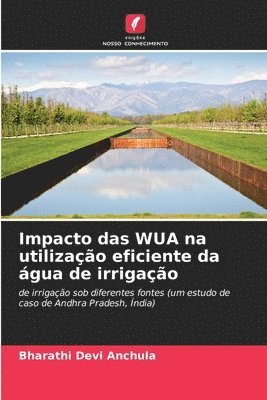 bokomslag Impacto das WUA na utilização eficiente da água de irrigação