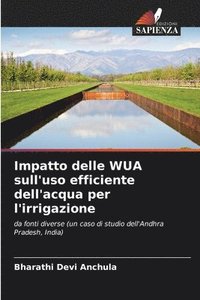 bokomslag Impatto delle WUA sull'uso efficiente dell'acqua per l'irrigazione