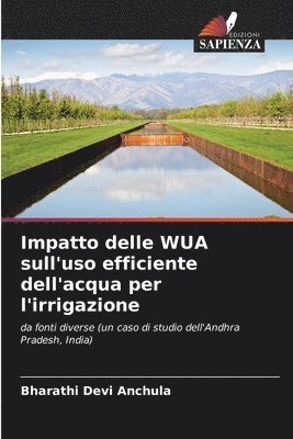 bokomslag Impatto delle WUA sull'uso efficiente dell'acqua per l'irrigazione