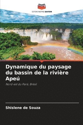 Dynamique du paysage du bassin de la rivire Ape 1