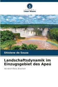 bokomslag Landschaftsdynamik im Einzugsgebiet des Ape