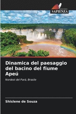 bokomslag Dinamica del paesaggio del bacino del fiume Ape