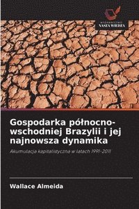 bokomslag Gospodarka plnocno-wschodniej Brazylii i jej najnowsza dynamika