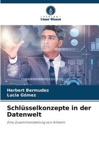 bokomslag Schlsselkonzepte in der Datenwelt