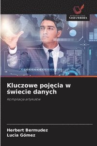 bokomslag Kluczowe poj&#281;cia w &#347;wiecie danych