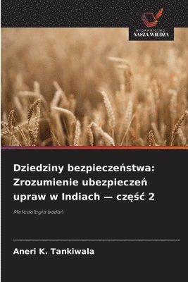 bokomslag Dziedziny bezpiecze&#324;stwa