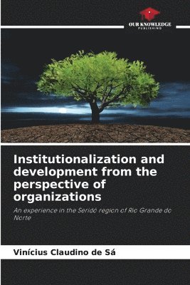 bokomslag Institutionalization and development from the perspective of organizations