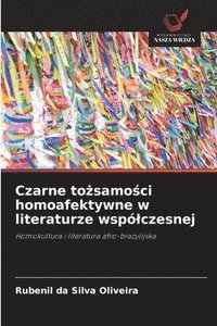 bokomslag Czarne to&#380;samo&#347;ci homoafektywne w literaturze wsplczesnej