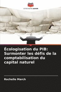 bokomslag Écologisation du PIB