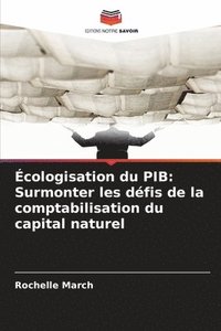 bokomslag Écologisation du PIB: Surmonter les défis de la comptabilisation du capital naturel