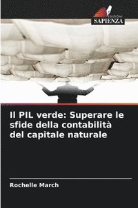 bokomslag Il PIL verde: Superare le sfide della contabilità del capitale naturale